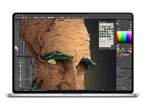 Adobe Illustrator – Lesson Files 1