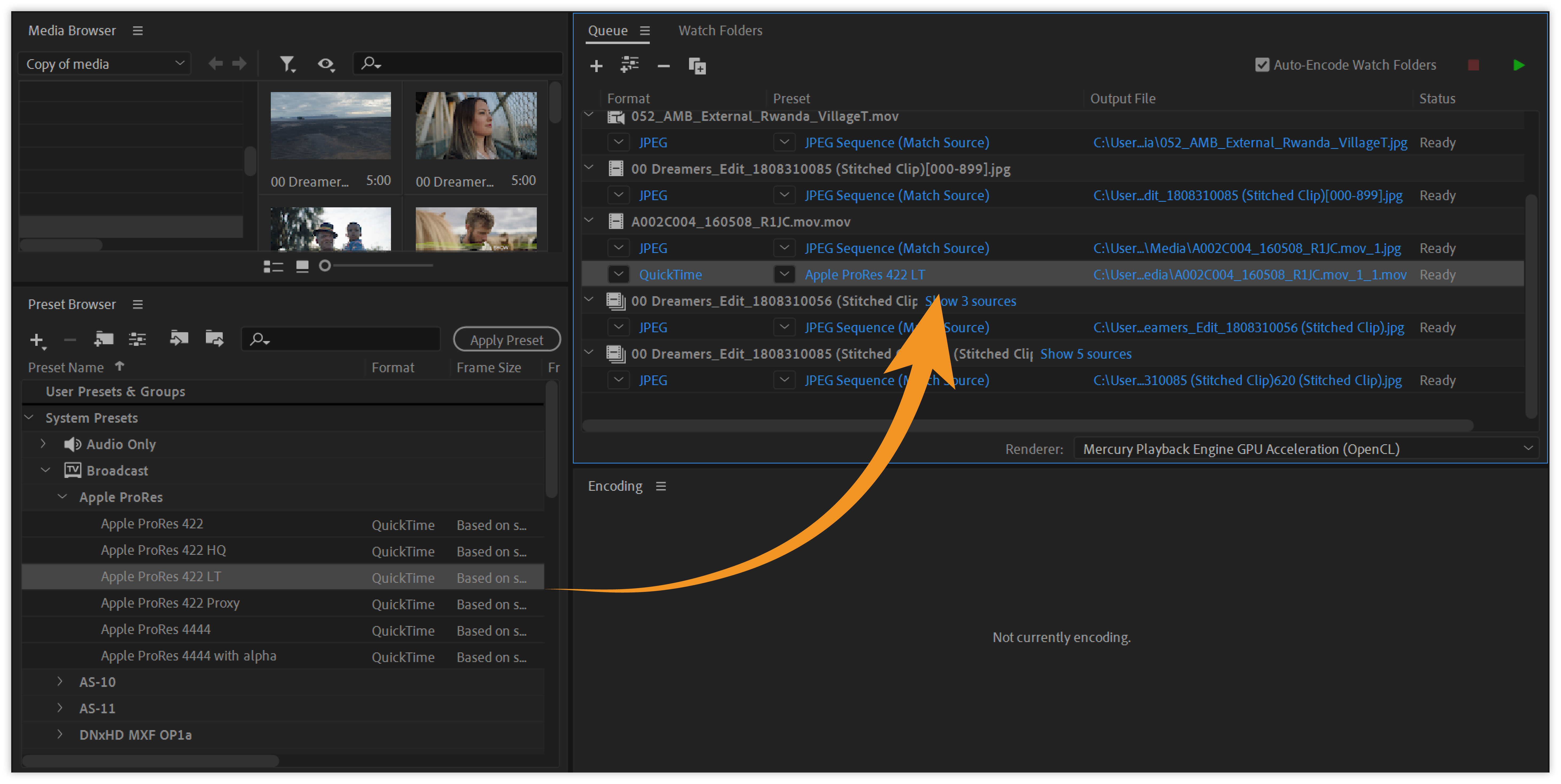 Adobe Media Encoder 2024 - AppDoze