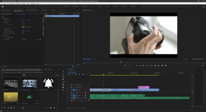 Adobe Premiere Pro 2024 1