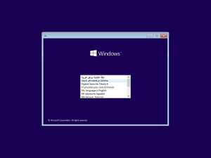 Windows 11 Enterprise (No TPM Required) 1