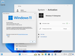 Windows 11 Enterprise (No TPM Required) 2