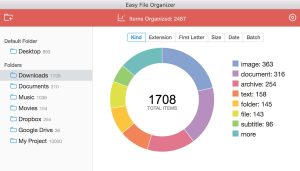 Easy File Organizer 1