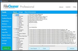 WebMinds FileCleaner Pro 1