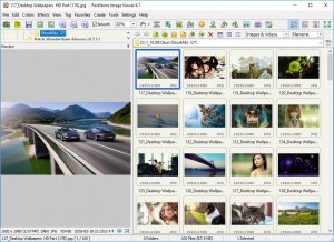 FastStone Image Viewer Corporate 1