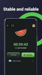 Melon VPN – Secure Proxy VPN 2