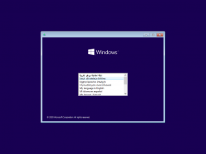 Windows 11 Final AIO 19in1 1