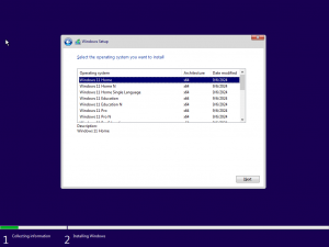 Windows 11 Final AIO 16in1 (No TPM Required) 2