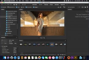 Adobe Bridge 2025 for Mac 1